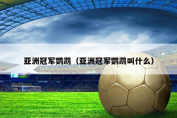 亚洲冠军鹦鹉（亚洲冠军鹦鹉叫什么）