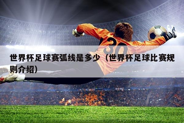 世界杯足球赛弧线是多少（世界杯足球比赛规则介绍）