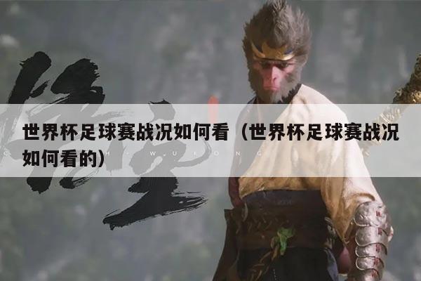 世界杯足球赛战况如何看（世界杯足球赛战况如何看的）