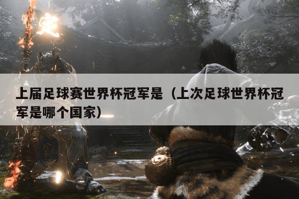 上届足球赛世界杯冠军是（上次足球世界杯冠军是哪个国家）