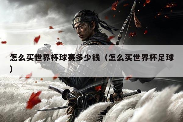 怎么买世界杯球赛多少钱（怎么买世界杯足球）
