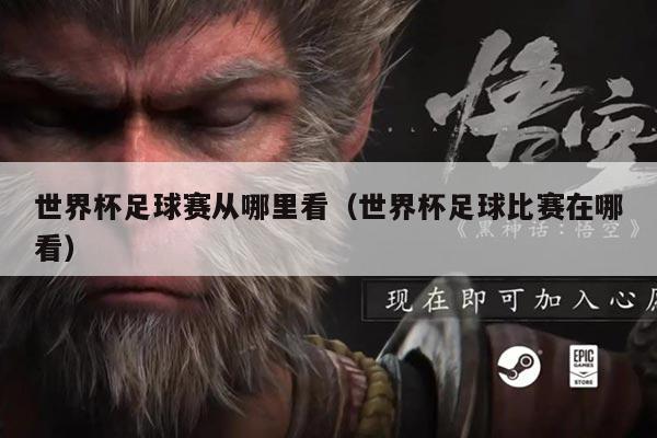世界杯足球赛从哪里看(世界杯足球比赛在哪看)
