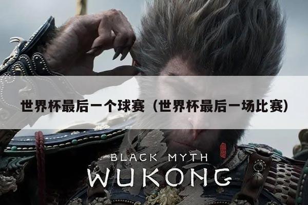 世界杯最后一个球赛（世界杯最后一场比赛）