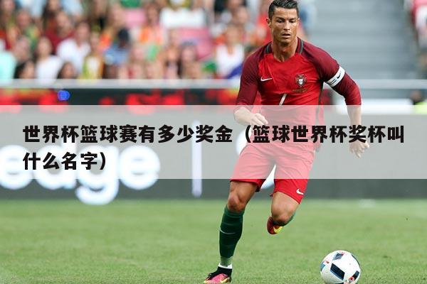 世界杯篮球赛有多少奖金(篮球世界杯奖杯叫什么名字)