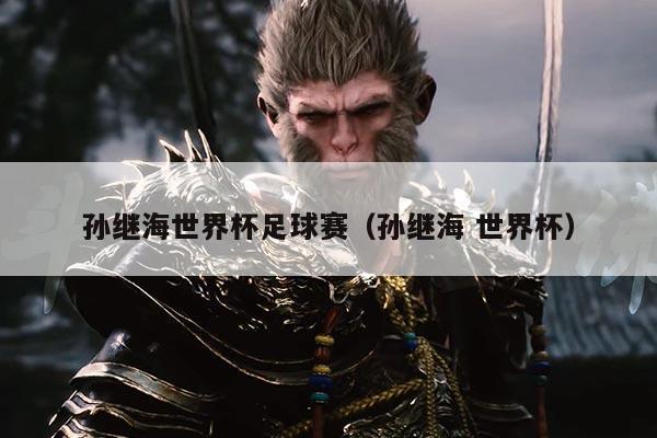 孙继海世界杯足球赛(孙继海 世界杯)