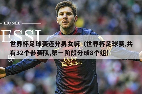 世界杯足球赛还分男女嘛（世界杯足球赛,共有32个参赛队,第一阶段分成8个组）