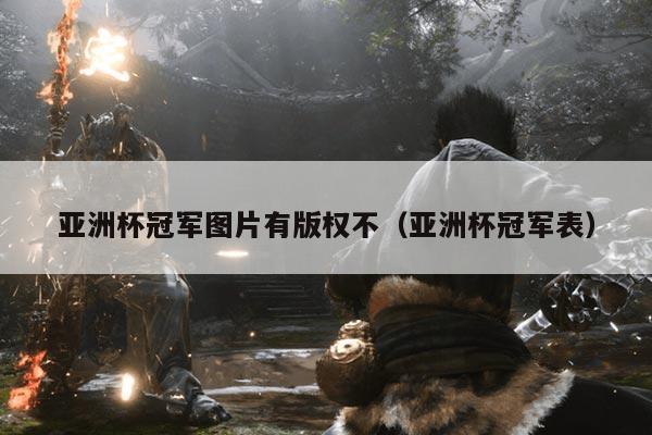 亚洲杯冠军图片有版权不（亚洲杯冠军表）