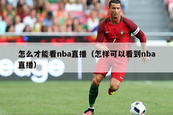 怎么才能看nba直播(怎样可以看到nba直播)