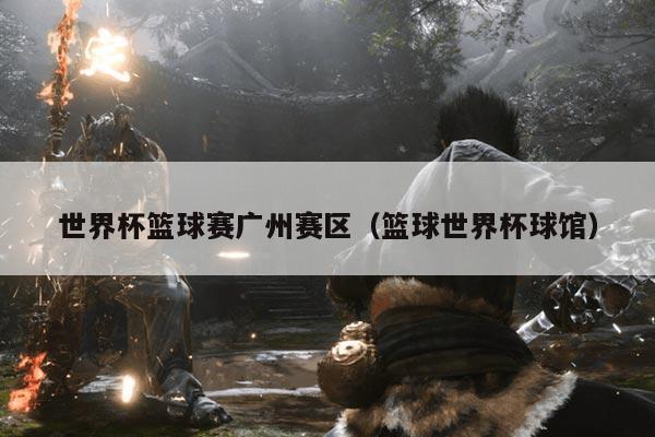 世界杯篮球赛广州赛区（篮球世界杯球馆）