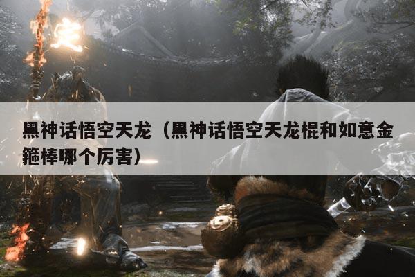 黑神话悟空天龙(黑神话悟空天龙棍和如意金箍棒哪个厉害)