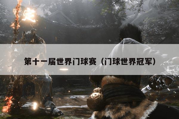 第十一届世界门球赛(门球世界冠军)