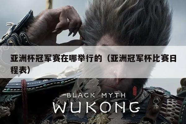 亚洲杯冠军赛在哪举行的(亚洲冠军杯比赛日程表)