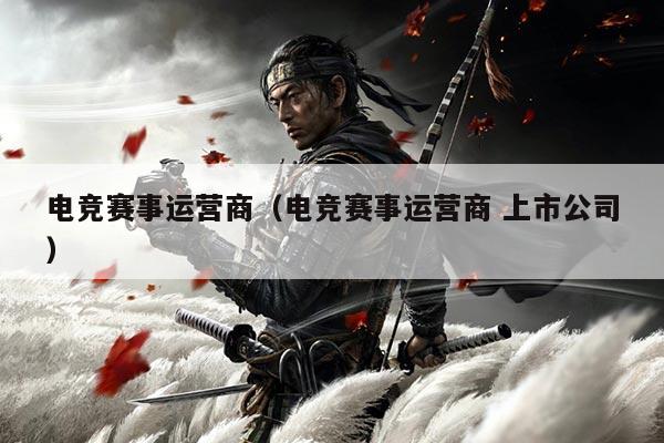 电竞赛事运营商(电竞赛事运营商 上市公司)