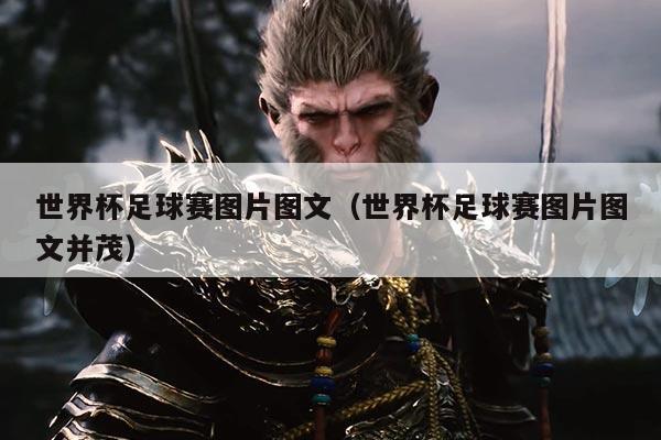 世界杯足球赛图片图文(世界杯足球赛图片图文并茂)