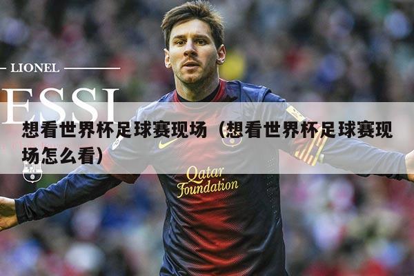 想看世界杯足球赛现场(想看世界杯足球赛现场怎么看)