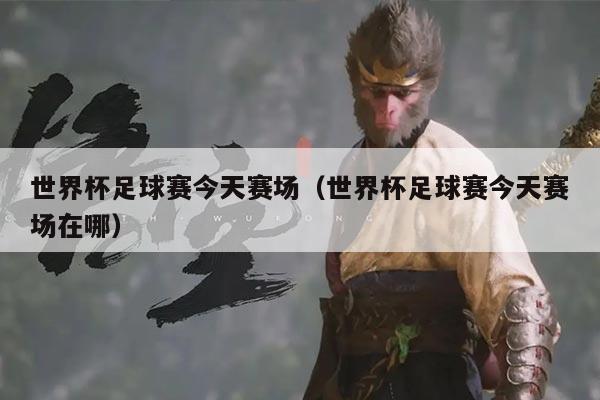 世界杯足球赛今天赛场(世界杯足球赛今天赛场在哪)
