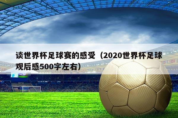 谈世界杯足球赛的感受(2020世界杯足球观后感500字左右)