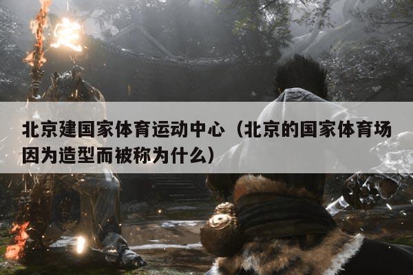 北京建国家体育运动中心（北京的国家体育场因为造型而被称为什么）