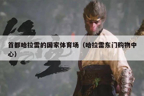 首都哈拉雷的国家体育场(哈拉雷东门购物中心)