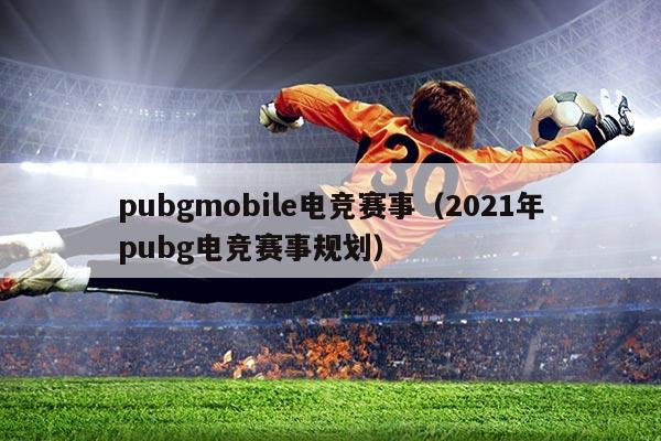 pubgmobile电竞赛事（2021年pubg电竞赛事规划）