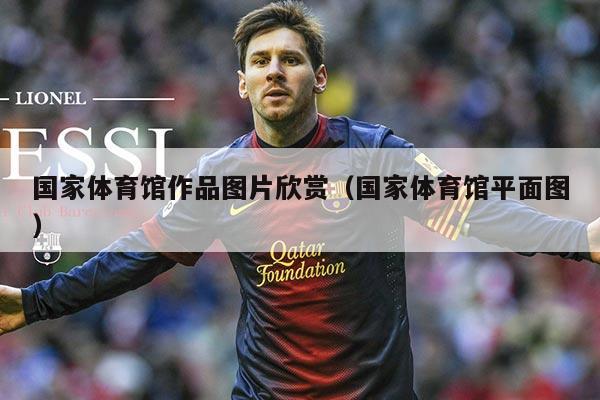 国家体育馆作品图片欣赏(国家体育馆平面图)