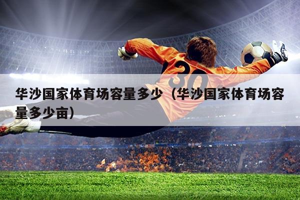 华沙国家体育场容量多少（华沙国家体育场容量多少亩）