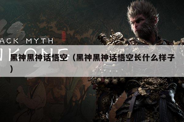 黑神黑神话悟空（黑神黑神话悟空长什么样子）