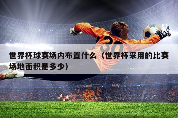世界杯球赛场内布置什么(世界杯采用的比赛场地面积是多少)