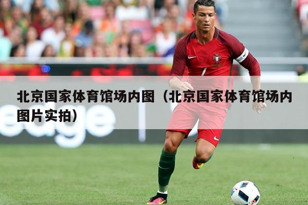 北京国家体育馆场内图(北京国家体育馆场内图片实拍)