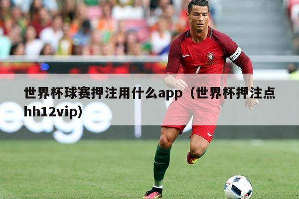 世界杯球赛押注用什么app（世界杯押注点hh12vip）