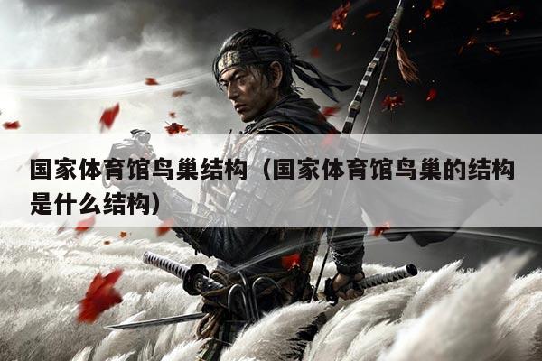 国家体育馆鸟巢结构(国家体育馆鸟巢的结构是什么结构)