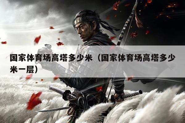 国家体育场高塔多少米(国家体育场高塔多少米一层)