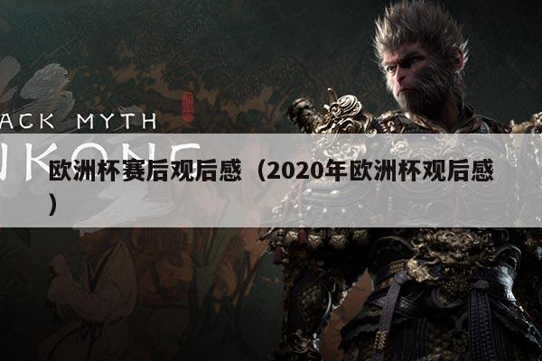 欧洲杯赛后观后感(2020年欧洲杯观后感)