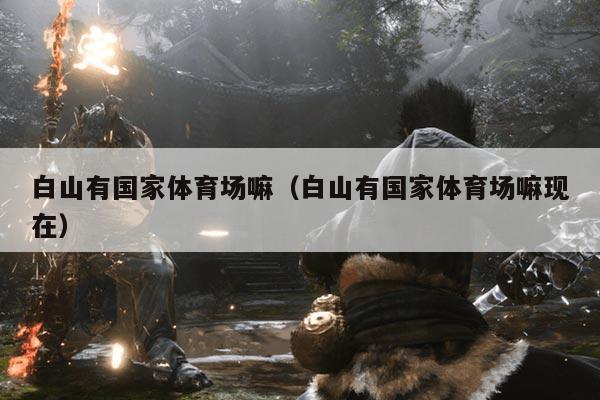 白山有国家体育场嘛(白山有国家体育场嘛现在)