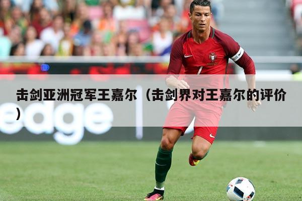 击剑亚洲冠军王嘉尔（击剑界对王嘉尔的评价）