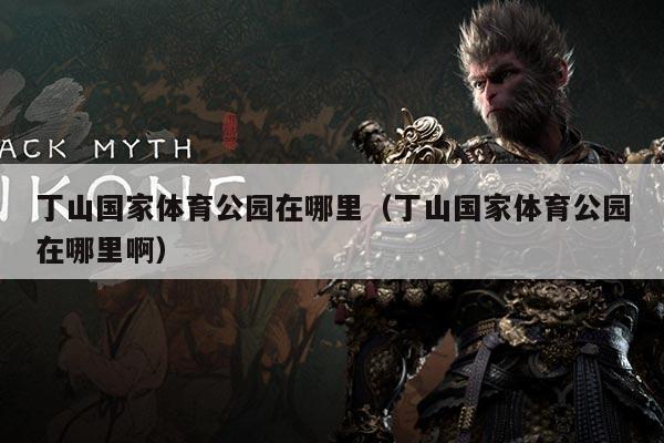 丁山国家体育公园在哪里(丁山国家体育公园在哪里啊)
