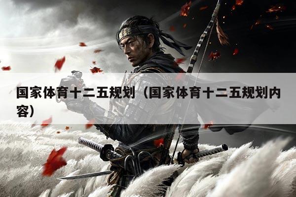 国家体育十二五规划(国家体育十二五规划内容)