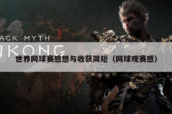 世界网球赛感想与收获简短（网球观赛感）