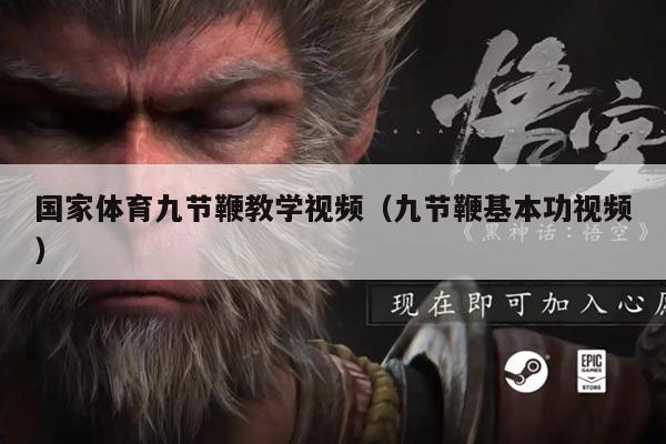 国家体育九节鞭教学视频（九节鞭基本功视频）