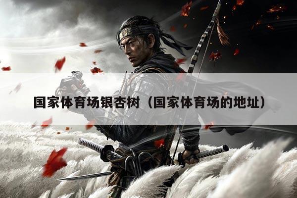 国家体育场银杏树（国家体育场的地址）