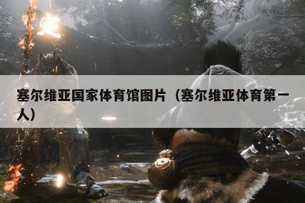 塞尔维亚国家体育馆图片（塞尔维亚体育第一人）