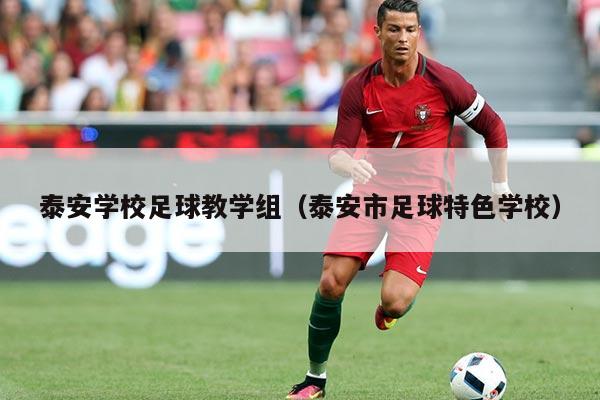 泰安学校足球教学组（泰安市足球特色学校）