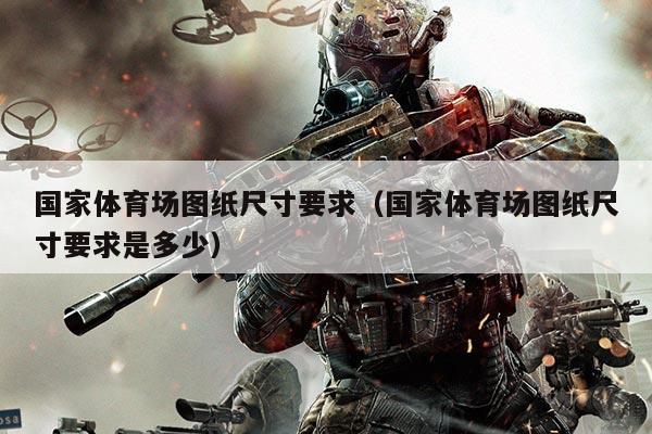 国家体育场图纸尺寸要求（国家体育场图纸尺寸要求是多少）