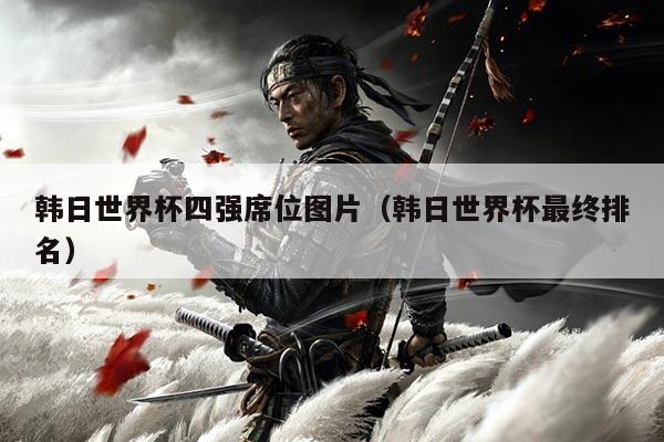 韩日世界杯四强席位图片（韩日世界杯最终排名）