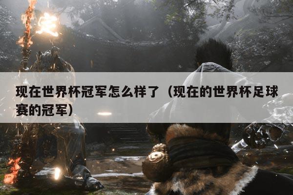 现在世界杯冠军怎么样了（现在的世界杯足球赛的冠军）