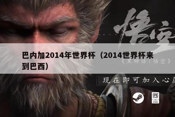 巴内加2014年世界杯（2014世界杯来到巴西）