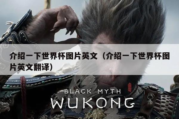 介绍一下世界杯图片英文（介绍一下世界杯图片英文翻译）