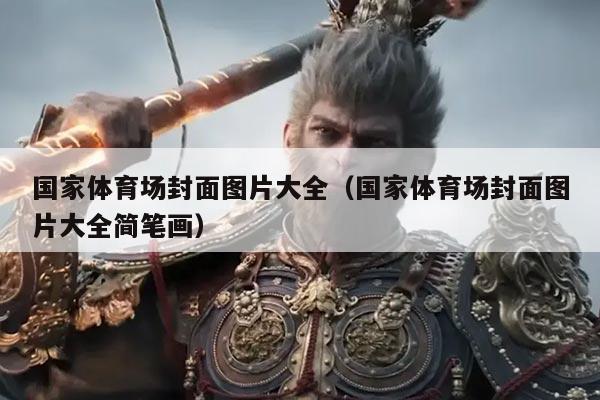 国家体育场封面图片大全（国家体育场封面图片大全简笔画）