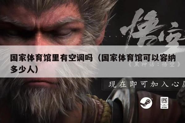 国家体育馆里有空调吗（国家体育馆可以容纳多少人）